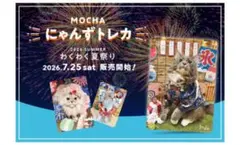 猫カフェmocha梅田店トレカ 2026夏 - メルカリ