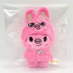 チャンビン アイドル