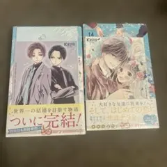 初婚全巻セット+特装版 特典付き 特装版｜初×婚｜黒崎みのり｜全17巻｜全巻セット｜特典付き｜初婚