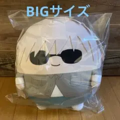 Item thumbnail for item 51756239-9abf-4680-8466-34430cb6befd