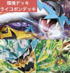 タケルライコex　構築済みデッキ　ライコポン