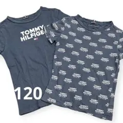 TOMMY HILFIGER ネイビー Tシャツ 2枚セット