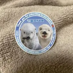 鳥羽水族館 ラッコ ステッカーのサムネイル