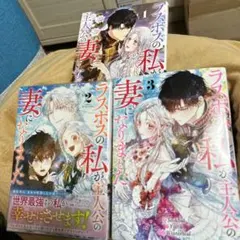 ラスボスの私に主人ができました 1巻〜3巻セット
