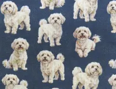 【ゆきちゃん限定】X2481-1 マルプー クリーム系 デニム紺 生地 1m