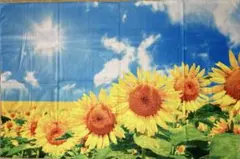 ごんた様 リクエスト 2点 まとめ商品