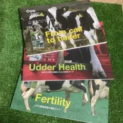 COW SIGNALS 日本語版 3冊 セット カウシグナルズ 乳牛 畜産 牛
