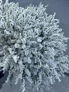 haru8169様 リクエスト 4点 まとめ商品