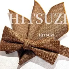 蝶ネクタイ　ブラウンゴールド　チーフセット　結婚式　新郎　前撮り　Mx3