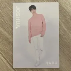 SEVENTEEN ジョシュア 2019 JAPAN TOUR HARU トレカ