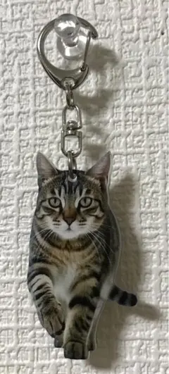 猫 チャーム