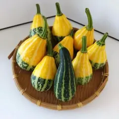 ハロウィン 飾り付け用 ミニかぼちゃ 9個セット おもちゃカボチャ