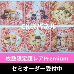 ♡セミオーダー受付中♡　スィーツポメちゃん　犬　306　枚数限定Premium