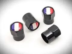 フランス国旗 シトロエン c3 c4 ds3 カクタス ピカソ ベルランゴのサムネイル