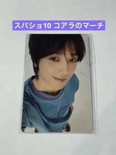 SUPER JUNIOR 藝聲 無尾熊餅乾 小卡