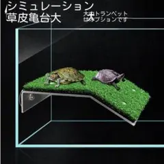 Item thumbnail for item 4ebc74d2-c586-4eb5-ac4d-0224e77e96d4