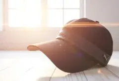 Item thumbnail for item 8d78e310-dfb7-4dde-95ae-0d8b4f48ada2