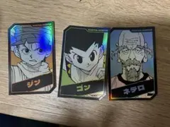 HUNTER×HUNTER ハンターハンター ゴン ジン ネテロ ホロカード