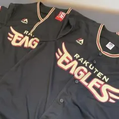 Item thumbnail for item a4717eb6-8955-4b41-8bcb-2b6eb7a5e2f2