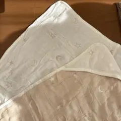 Item thumbnail for item 79c4e402-6321-4b8d-bd6d-aff7aa1706b0