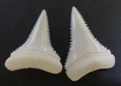 Item thumbnail for item 1fd590aa-7676-44c9-921b-937f8ef489db