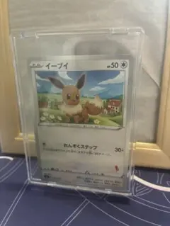 イーブイ R Vスタートデッキバトル～イーブイゲットだぜ～ 参加賞 キラ