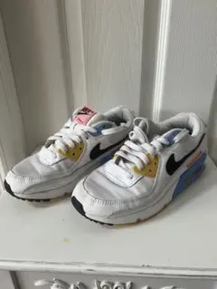 【ホームクリーニング済み】Nike Air Max 90 ホワイト/25cm