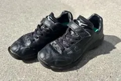 Item thumbnail for item 60110e73-7c55-439e-9413-de05767fce87