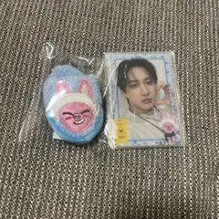 チャンビン アイドル