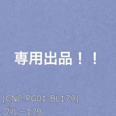 専用出品