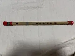 Item thumbnail for item b8c51c69-e8c7-4faa-8e0d-c21eb6f6c24c