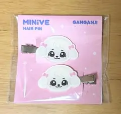 2026年最新】ive minive ユジン カンアンジの人気アイテム - メルカリ