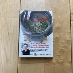 Item thumbnail for item fc8feec8-903f-474b-ad9a-48ff1c87fd24