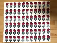 ヴィヒキルース　はぎれ　生地　マリメッコ　marimekko