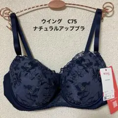 Item thumbnail for item b52ef673-2730-428f-b9d3-66100deff04d