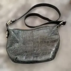 Item thumbnail for item 0ee88229-d8a5-41e1-a641-42ebbfe26290