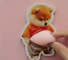 柴犬 お腹 可愛い 犬好き　ぷにぷにシール　2枚セット
