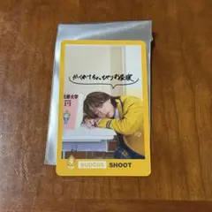 BUDDiS SHOOT トレーディングカード