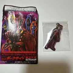 オールヒーローズチャームコレクションVol.4 ダークサイド ゼロダークネス