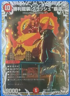 勝利龍装クラッシュ