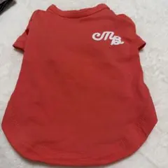 Item thumbnail for item 49ef45b6-0b5f-4f68-875c-bd367fc383bb