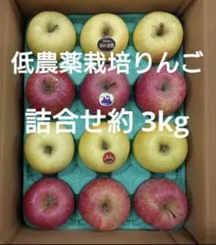 低農薬栽培りんご 詰合せ12個 約3kg