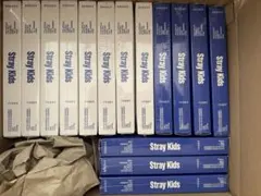 (新品未開封)Stray Kids スキズ KARMA 通常盤 15枚セット