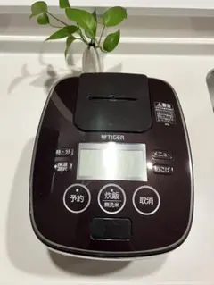 Item thumbnail for item 5d6c3946-edf0-44d7-b6a1-6141385cd09e