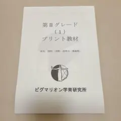 2026年最新】ピグマリオン 第1グレードの人気アイテム - メルカリ