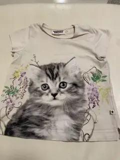 Item thumbnail for item 0458f84c-f355-49fd-ab57-6e1ceb356000