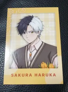 2025年最新】Wind Flowerの人気アイテム - メルカリ