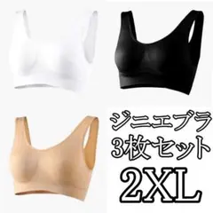 429 ジニエブラ ナイトブラ 2XL 3枚セット ブラック ベージュ ホワイト