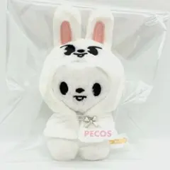 リービット アイドル