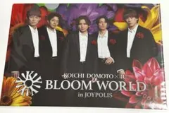 新品未開封】ジョイポリス BloomWorld 堂本光一 ふぉ〜ゆ〜 ファイル